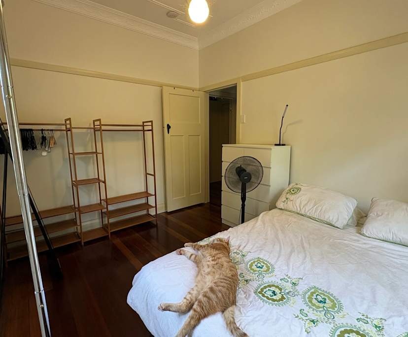 $315, Share-house, 2 bathrooms, Coorparoo QLD 4151