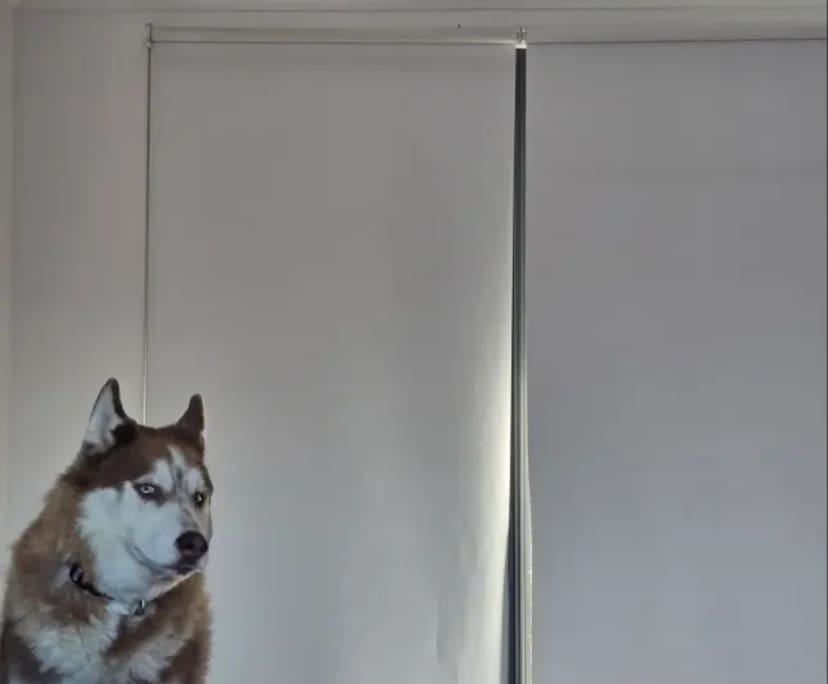 $200-230, Share-house, 2 rooms, Werribee VIC 3030, Werribee VIC 3030