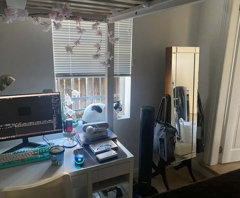 Room in a share house