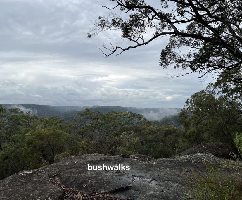 4 Rooms for Rent in Mount Kuringgai, NSW 200300...