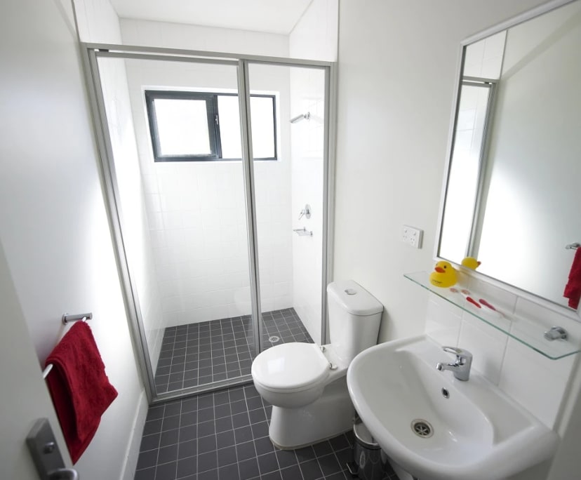 $222-253, Student-accommodation, 2 rooms, Mount Lawley WA 6050, Mount Lawley WA 6050