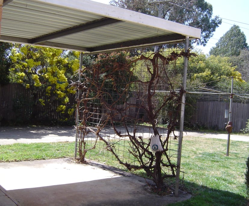 $285, Share-house, 3 bathrooms, Braddon ACT 2612