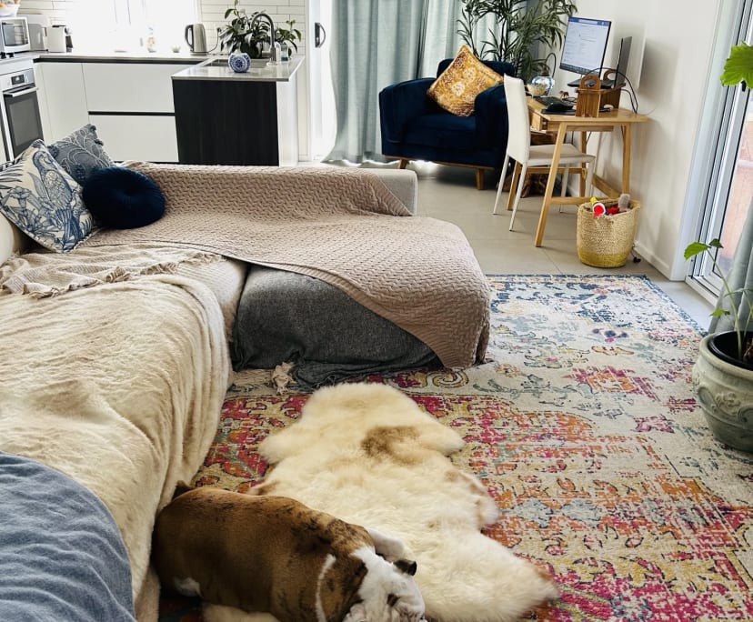Room in a share house