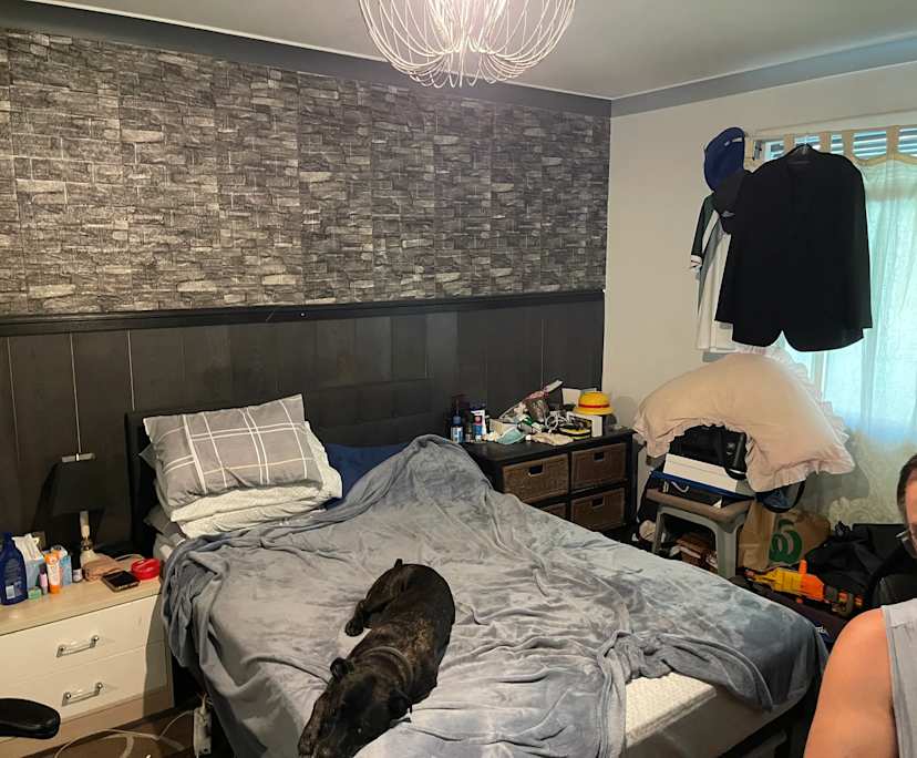 $350-400, Share-house, 2 rooms, Bexley NSW 2207, Bexley NSW 2207