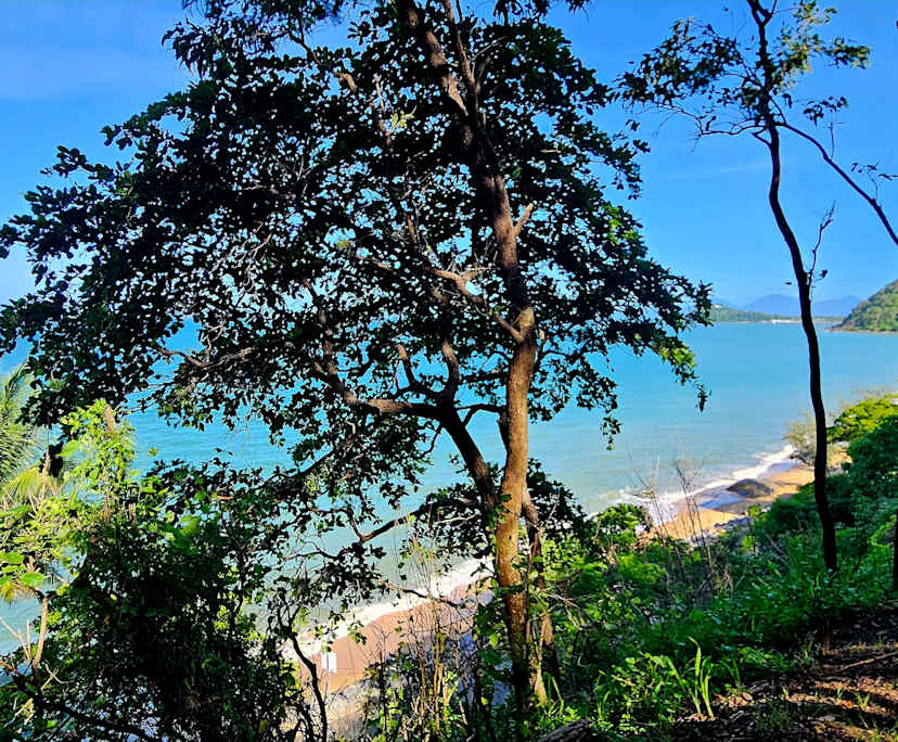 $260, Flatshare, 3 bathrooms, Trinity Beach QLD 4879