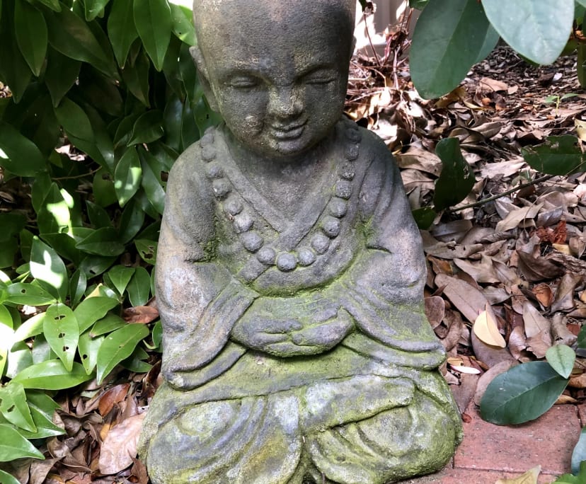 $300, Share-house, 3 bathrooms, O'Connor ACT 2602