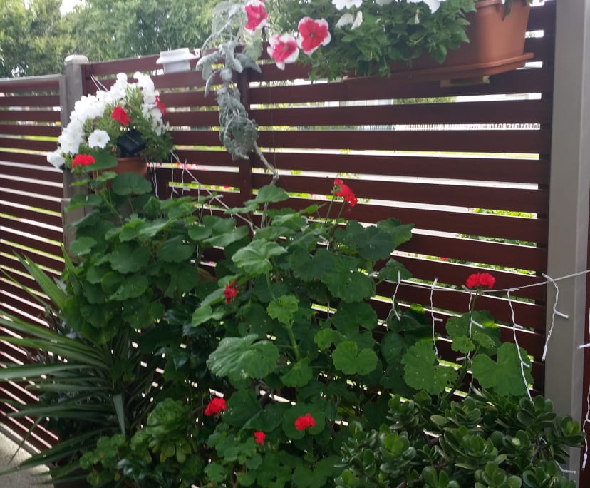 $165, Share-house, 3 bathrooms, Braybrook VIC 3019