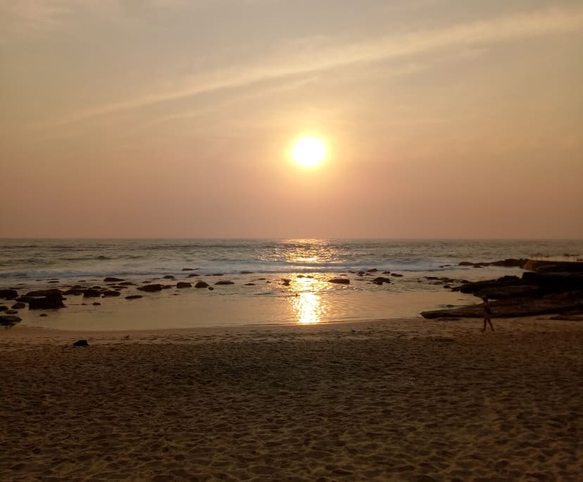 Room for Rent in Bronte, Sydney 350, Flexible wit...