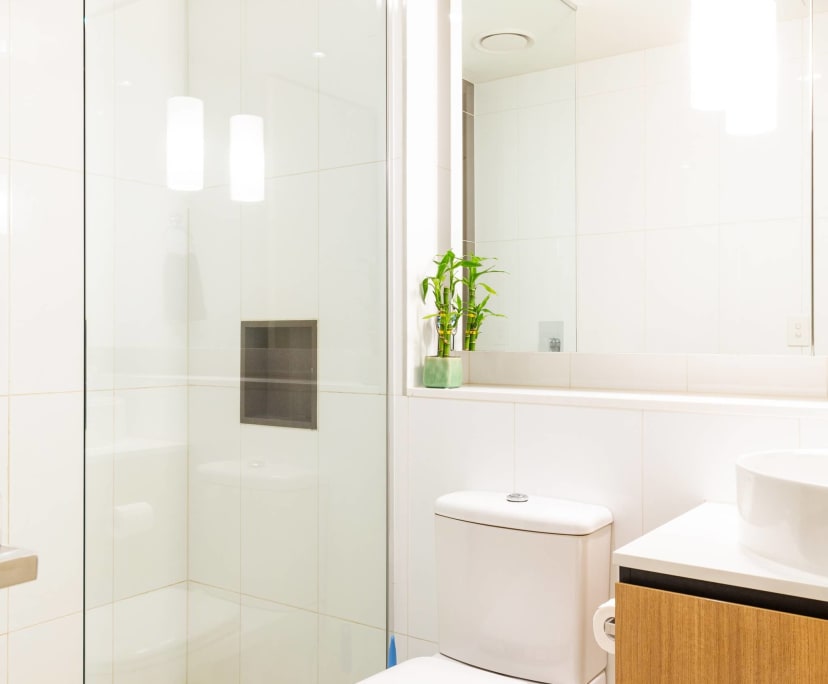 $385, Flatshare, 2 bathrooms, South Yarra VIC 3141