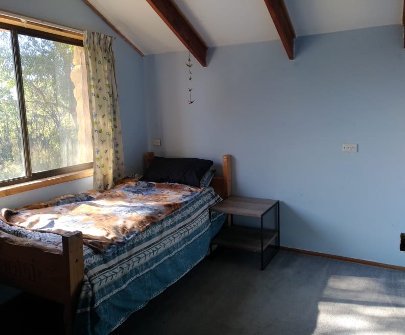 Room in a share house