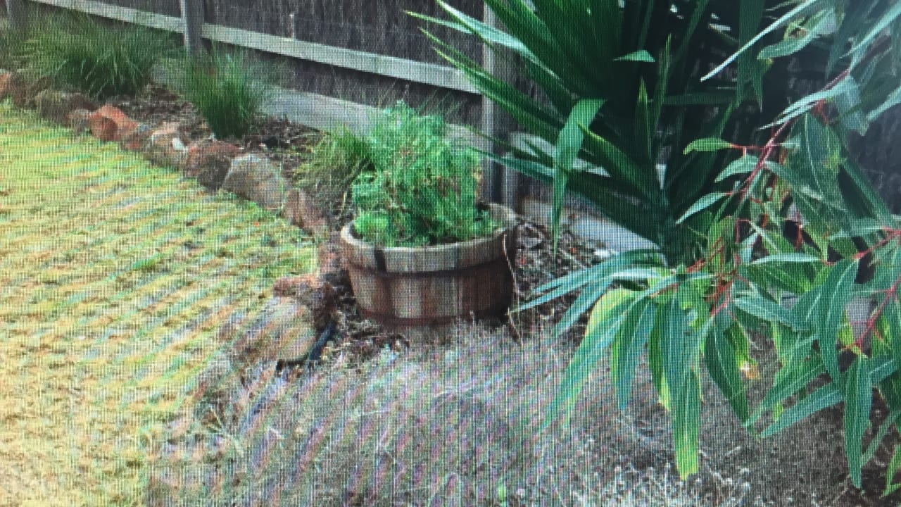 Unfurnished room in a share house