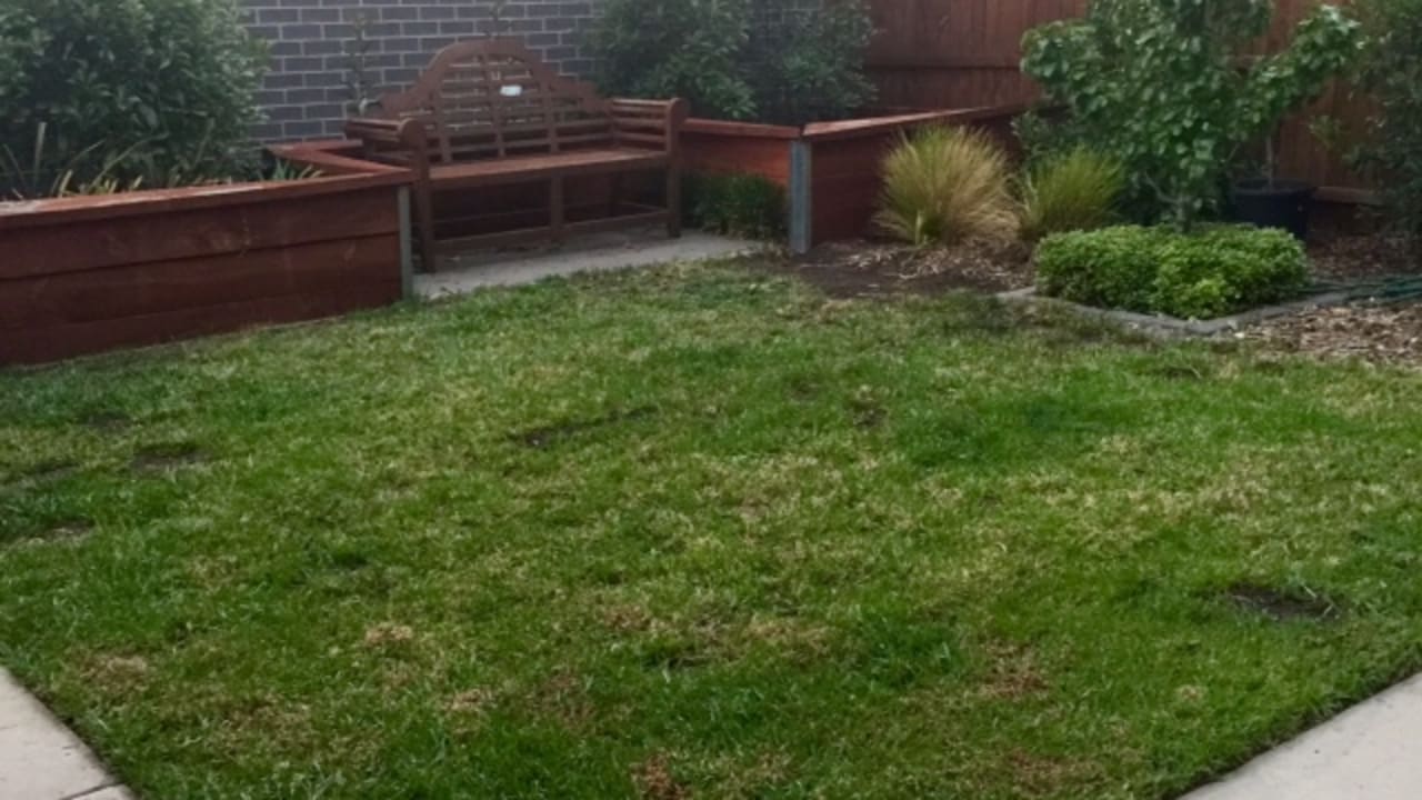 Unfurnished room in a share house