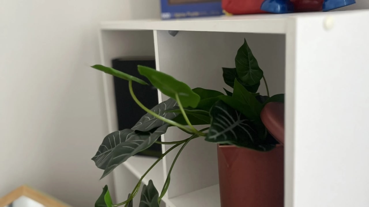 Room in a share house