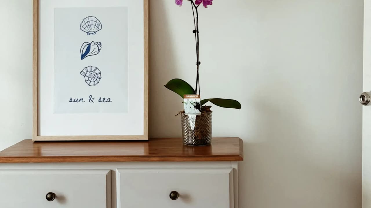 Furnished room in a share house