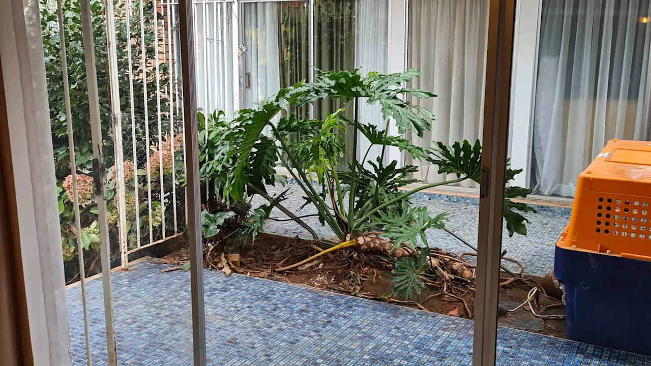 Whole property with 4 rooms for rent