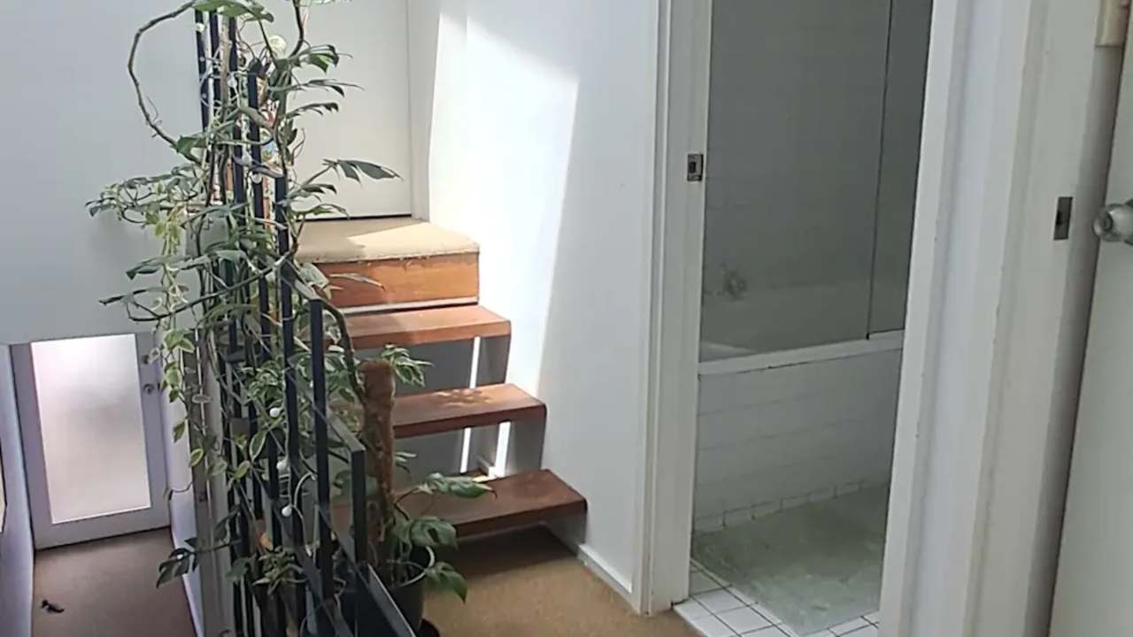 Room in a share house