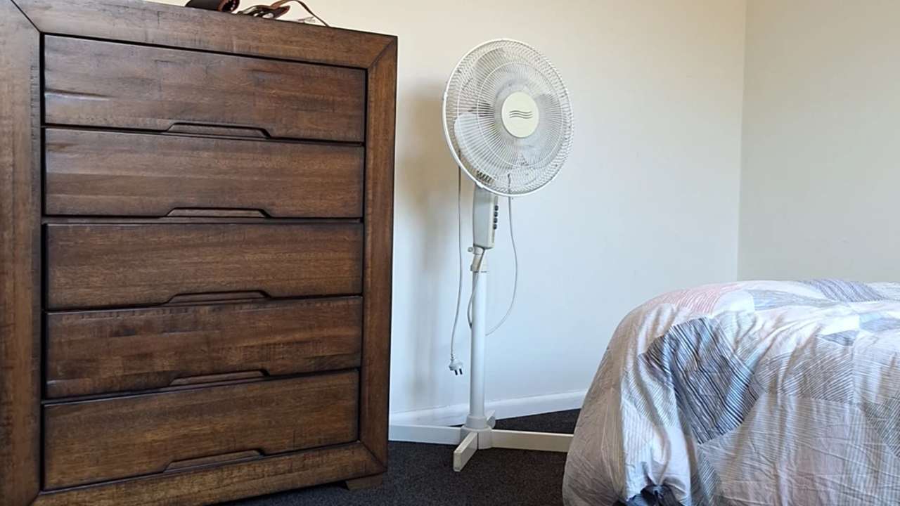 Room in a share house