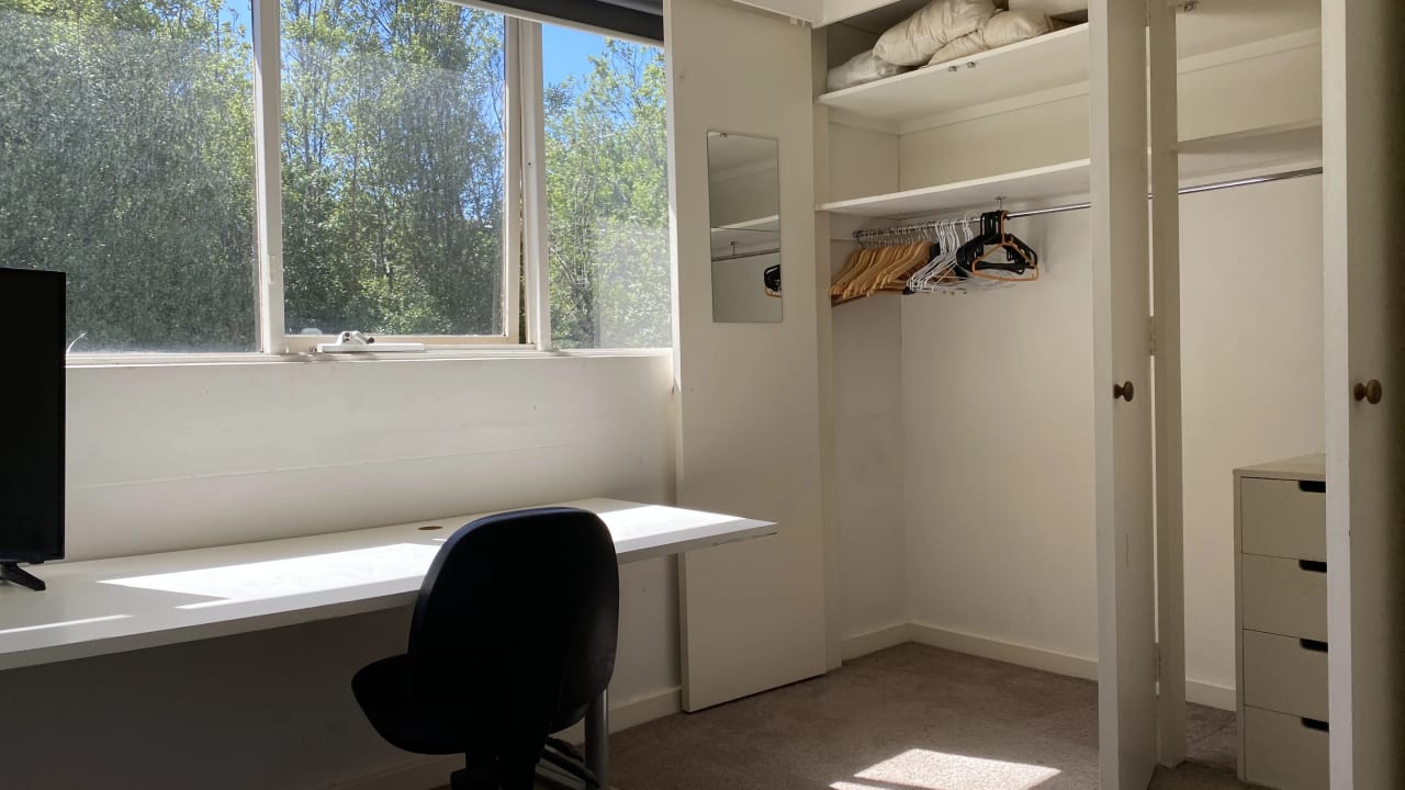 Room in a share house