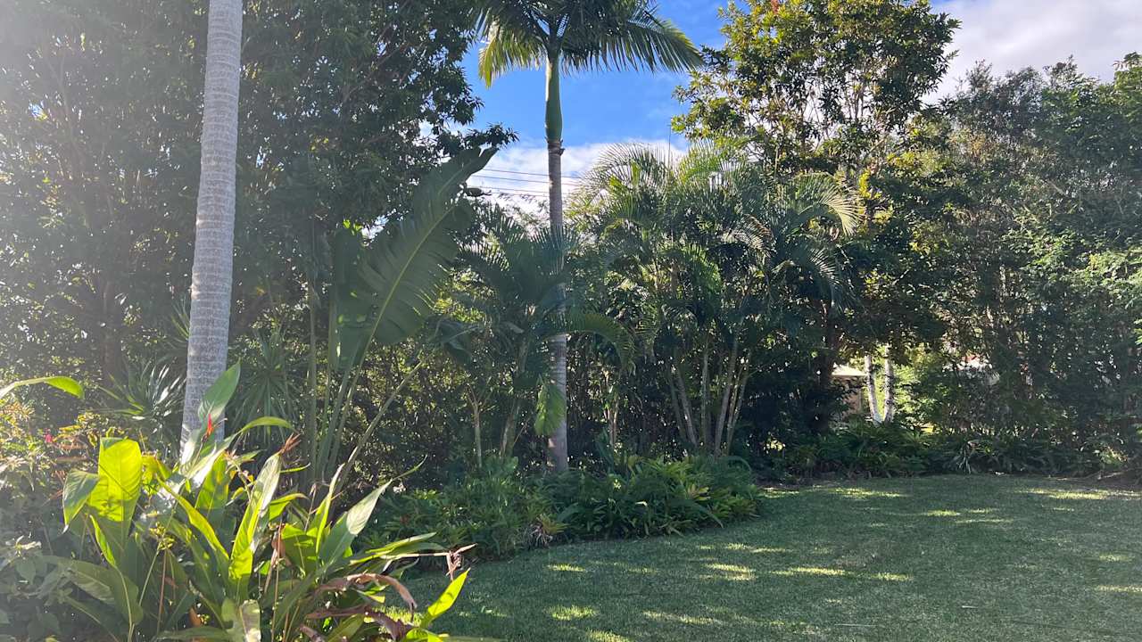 Whole property with 3 rooms for rent