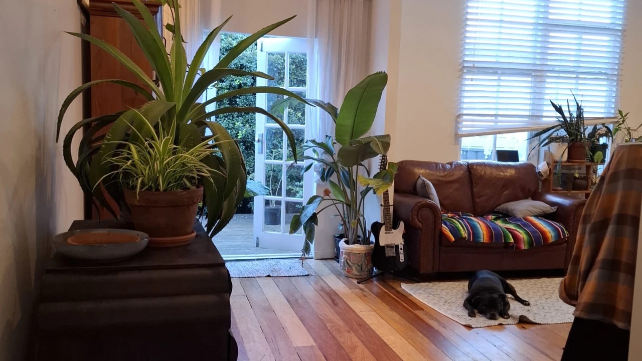 Unfurnished room in a share house