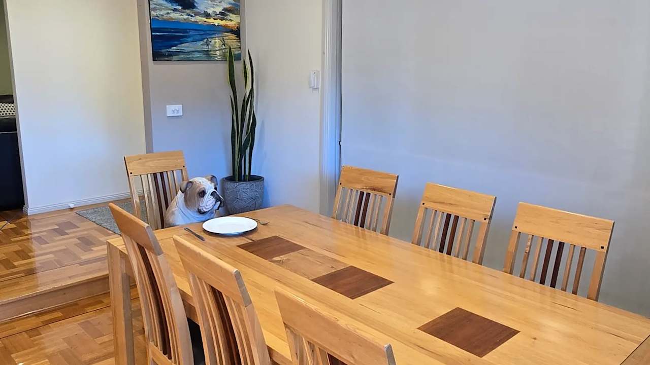 Unfurnished room in a share house