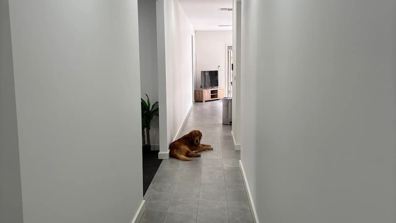 Room in a share house