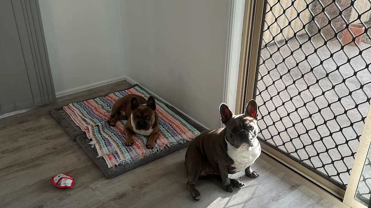 Unfurnished room in a share house