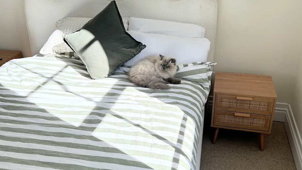 Room in a share house