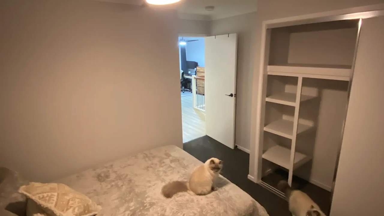Furnished room with own bathroom