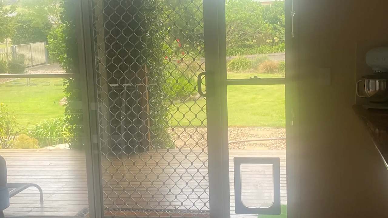 Unfurnished room with ensuite in a share house