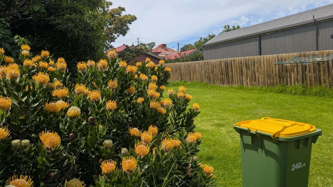 Unfurnished room in a share house