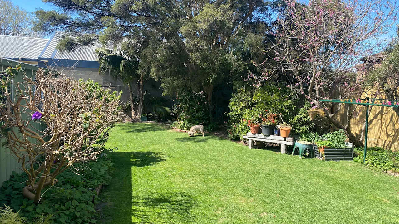 Unfurnished room granny flat for rent