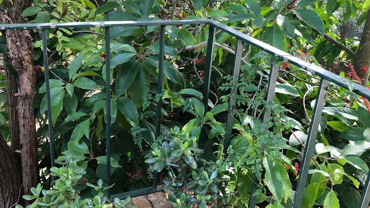 Whole property with 2 rooms for rent