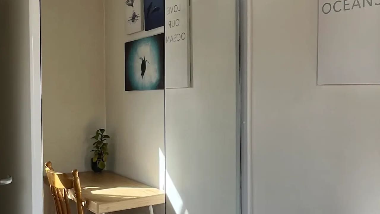 Furnished room in a flatshare