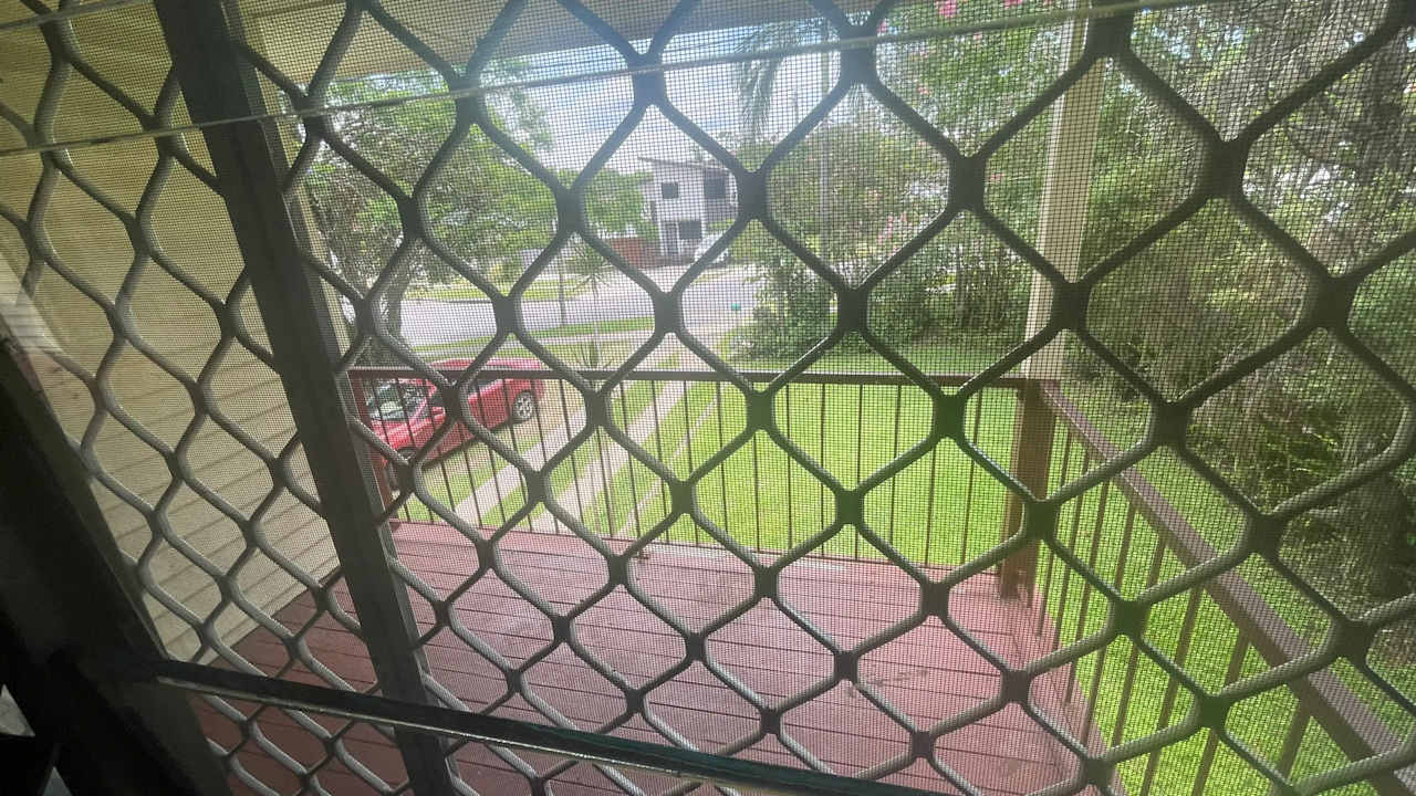 Room in a share house