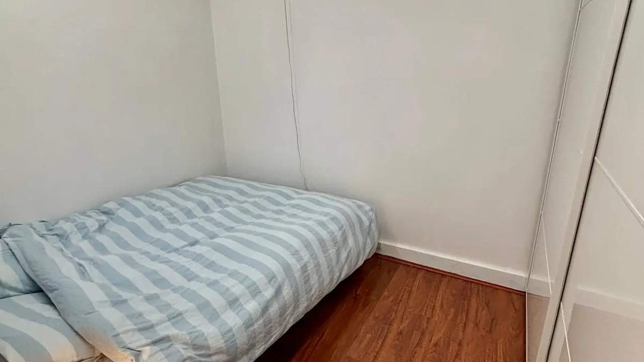 Whole property with 2 rooms for rent