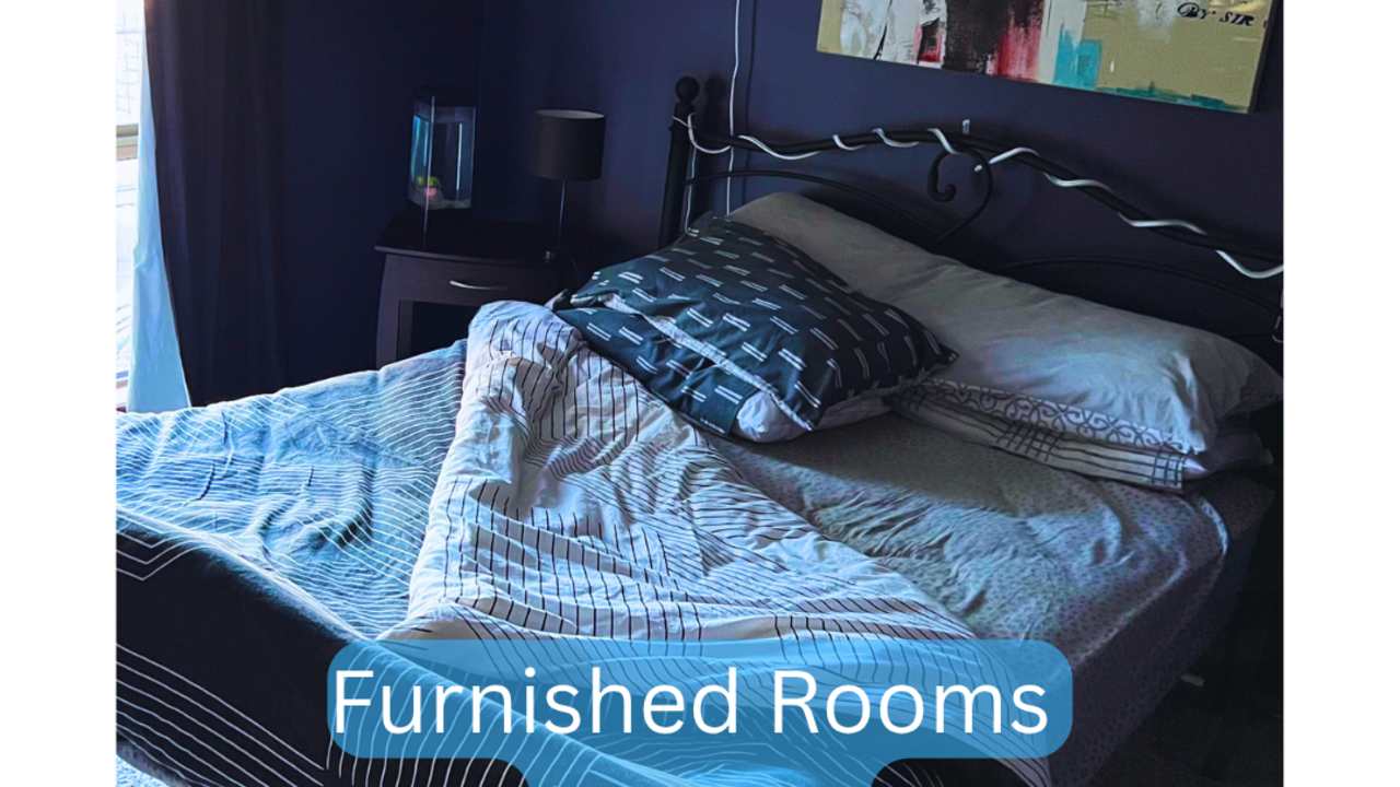 Furnished room in a share house