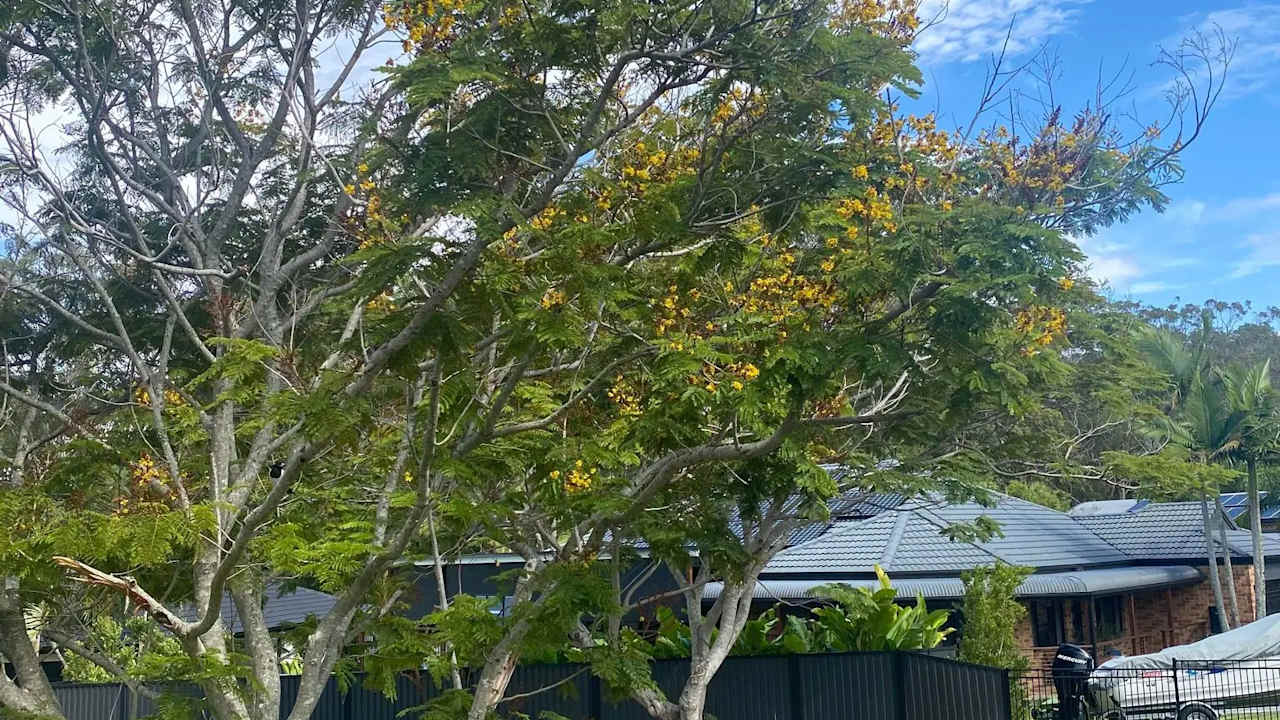 Furnished room with ensuite in a share house