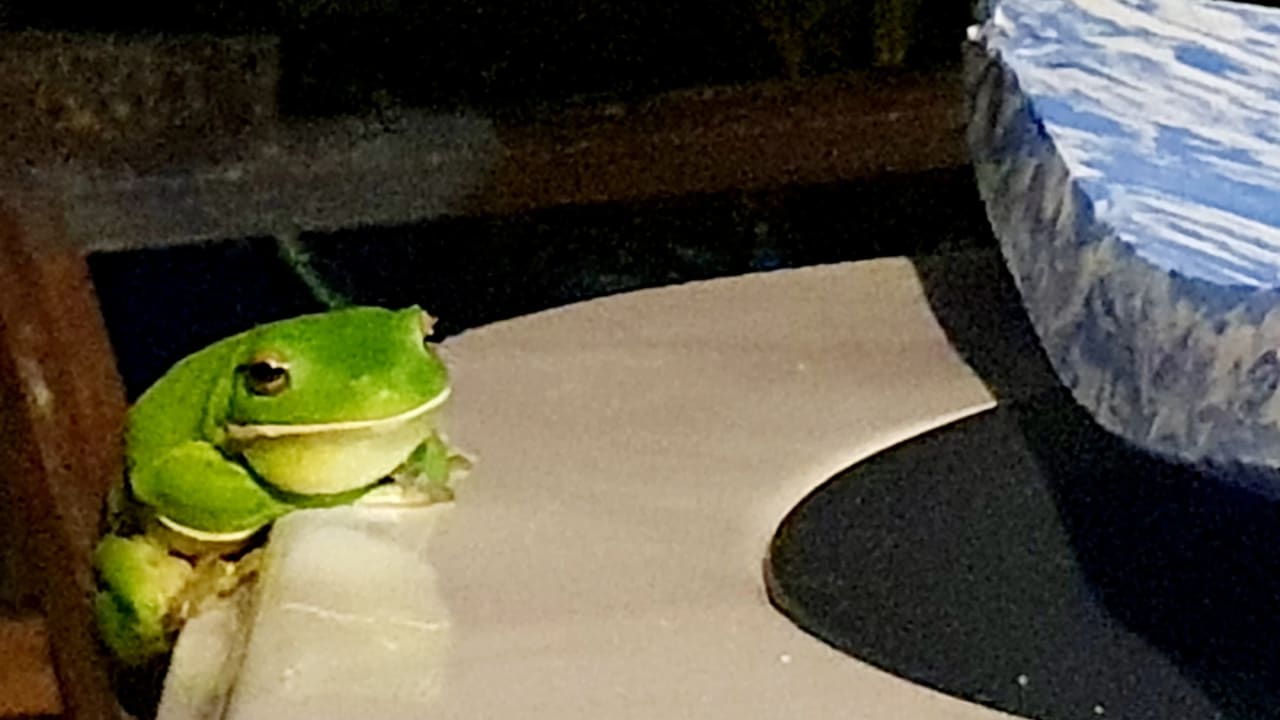 Furnished room in a share house