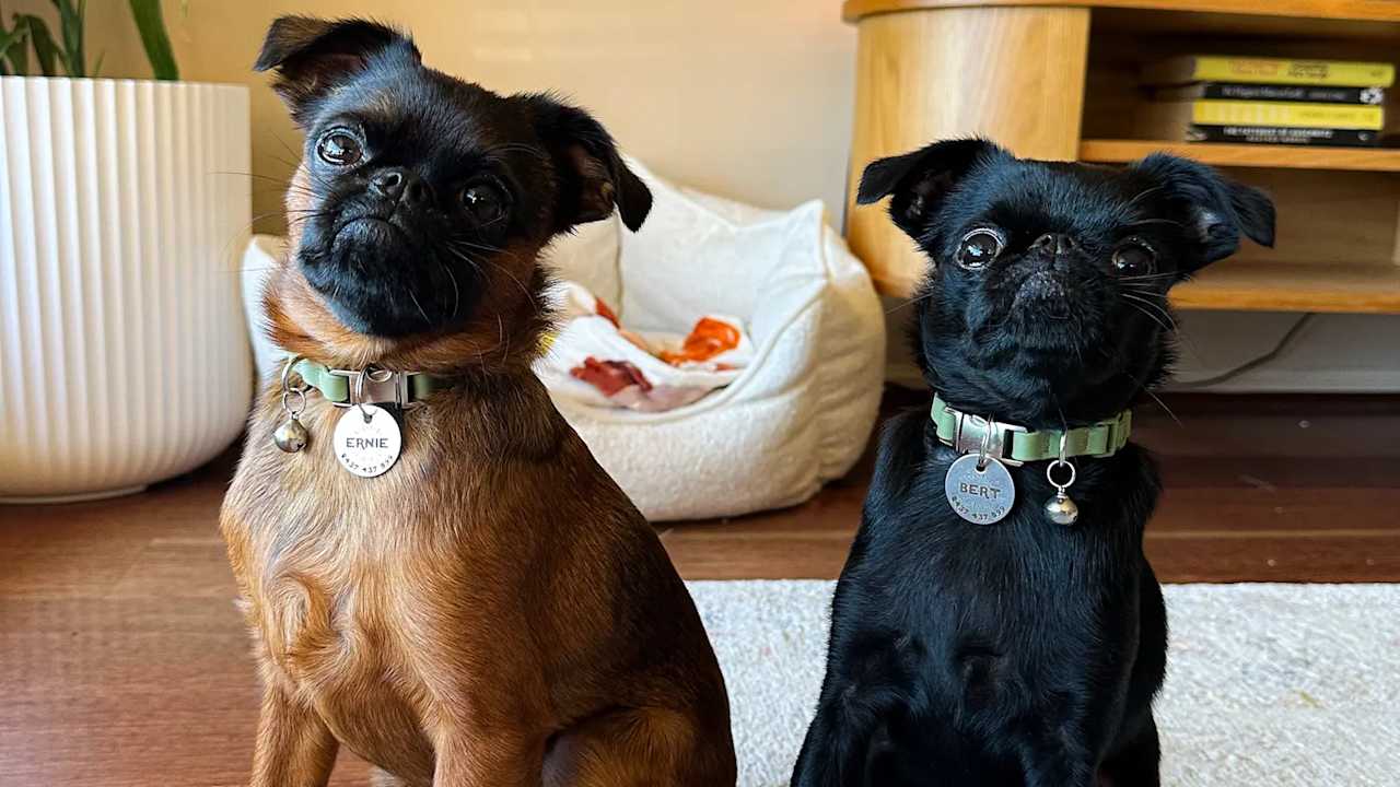 Room with own bathroom