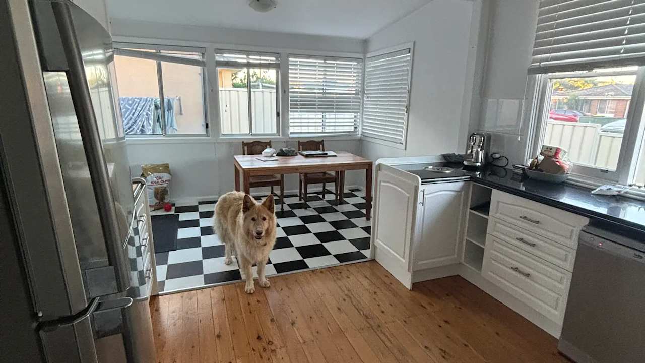 Room in a share house