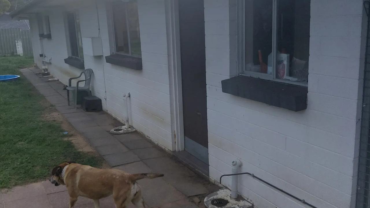 Room in a share house