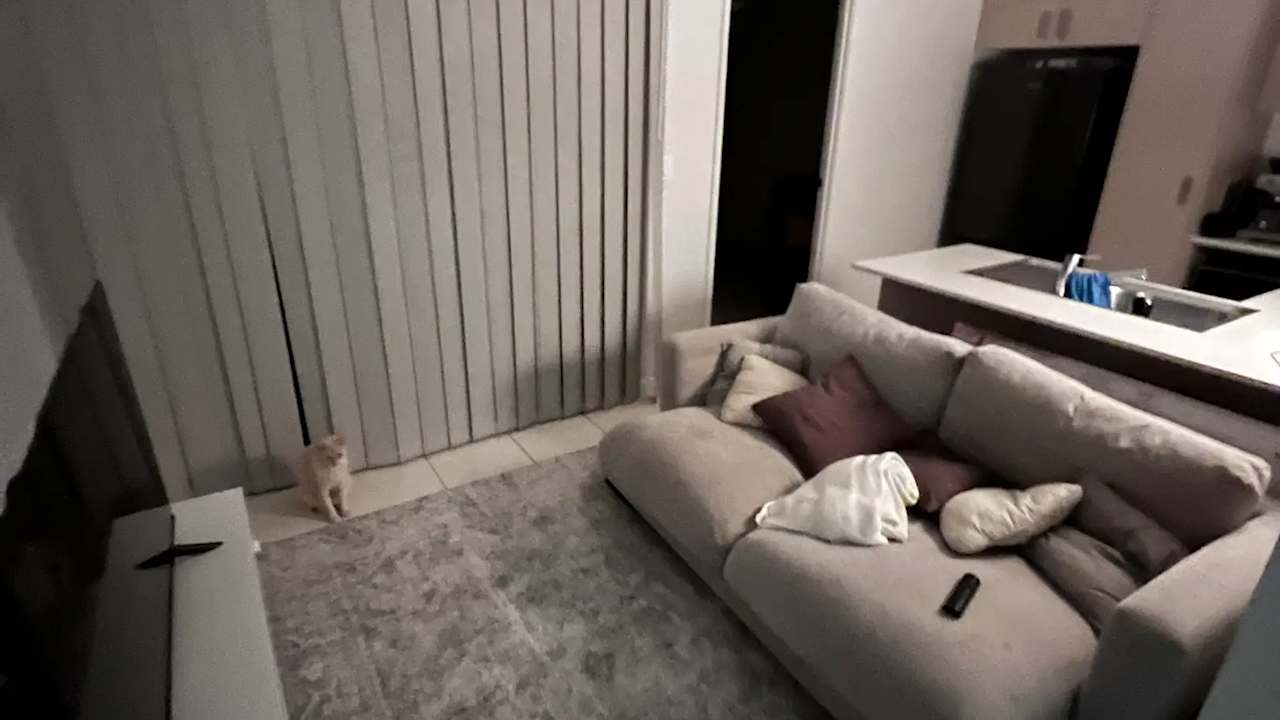 Room in a share house