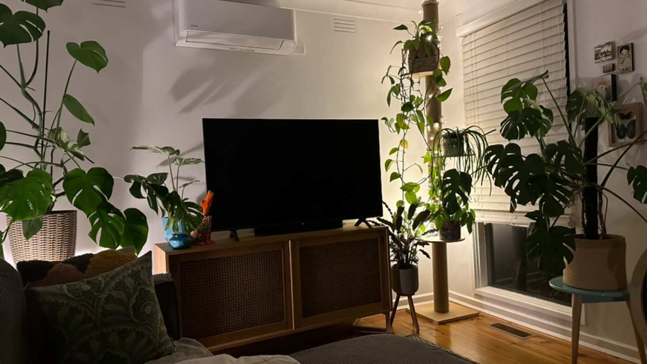 Room in a share house