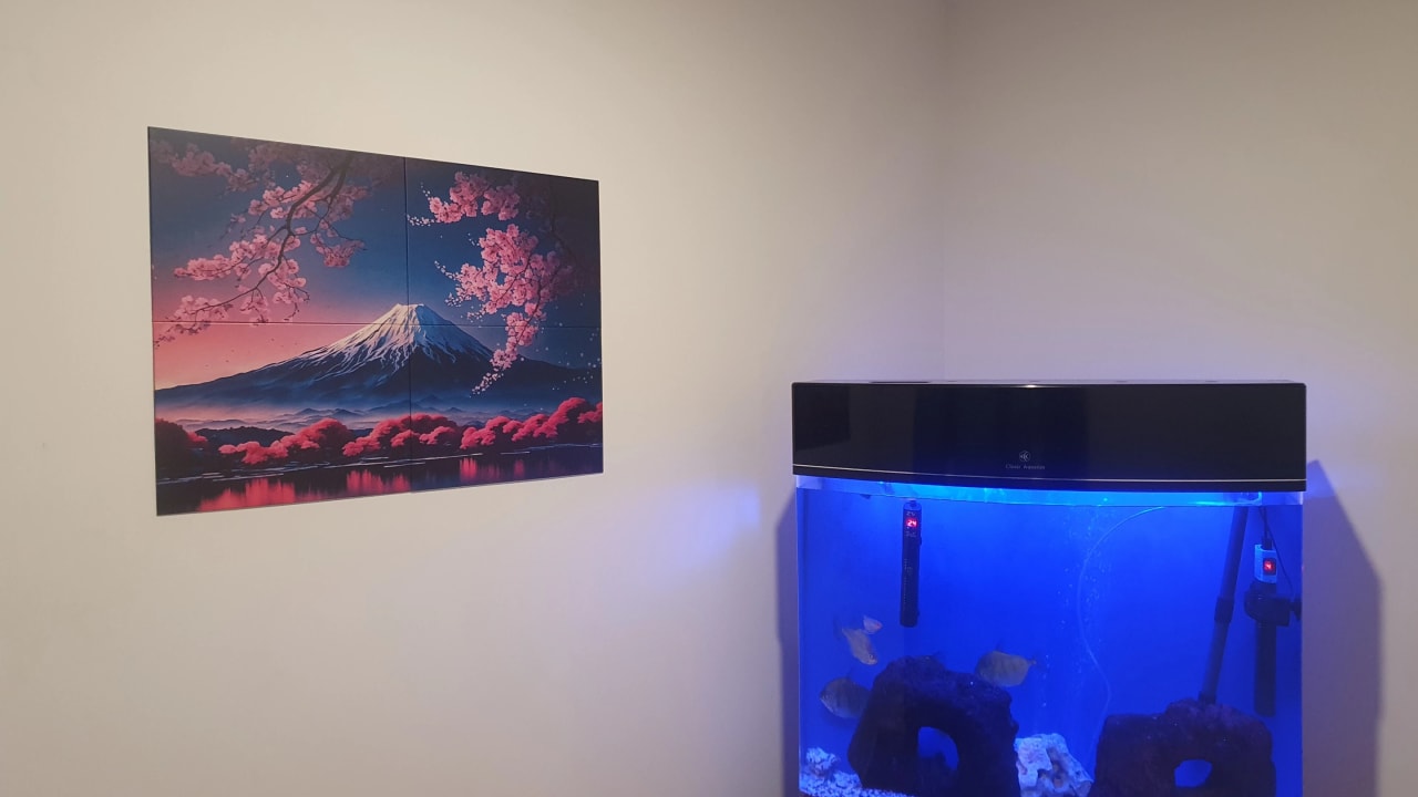 Furnished room in a share house