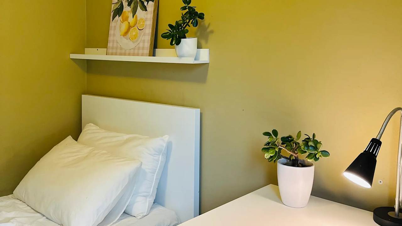 Furnished room in a share house