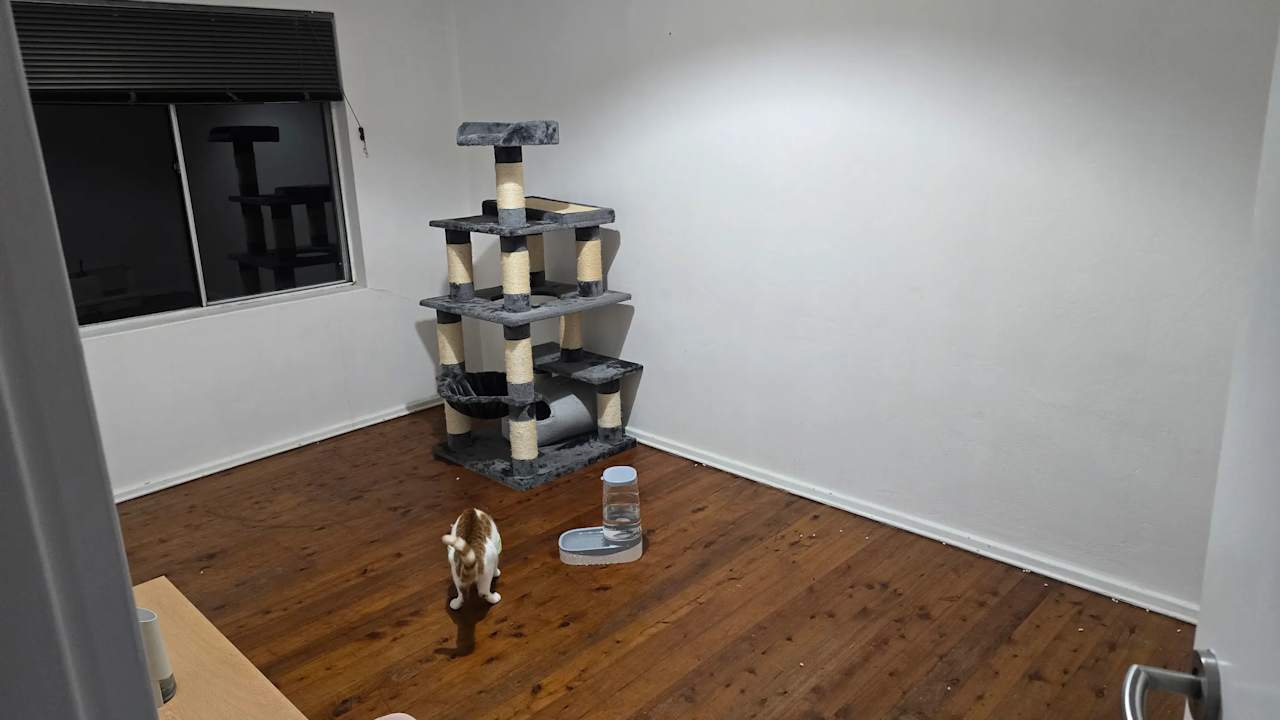 Unfurnished room in a flatshare