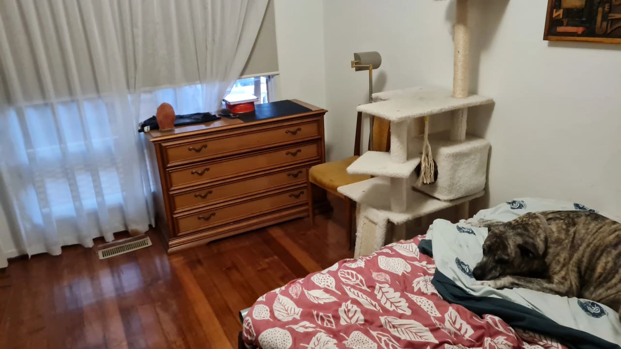 Furnished room with ensuite in a share house