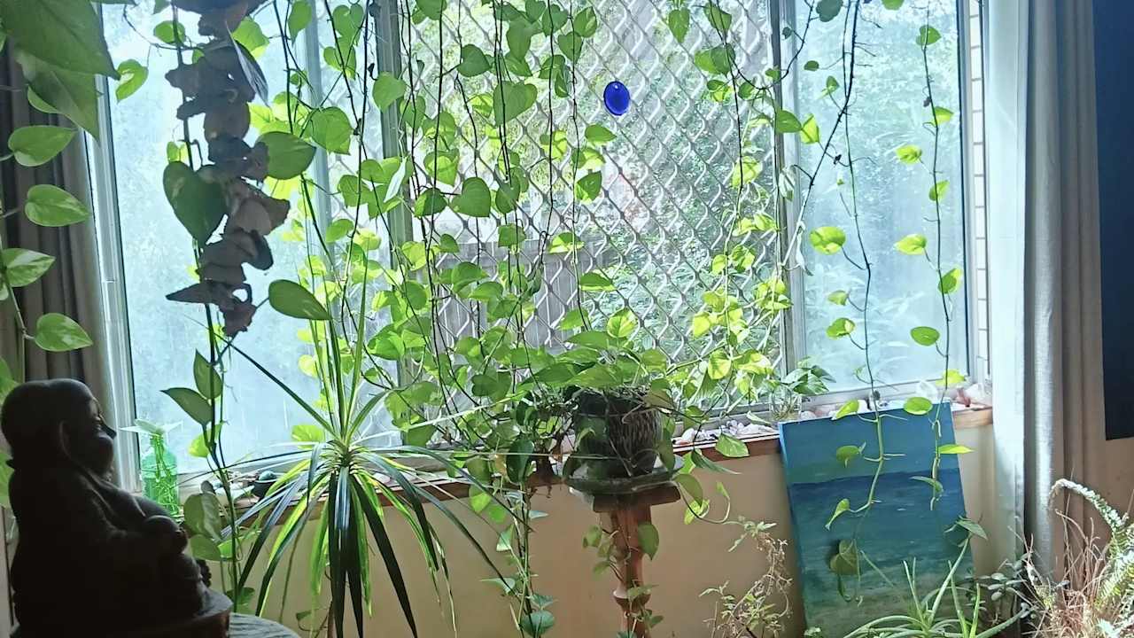 Room in a share house