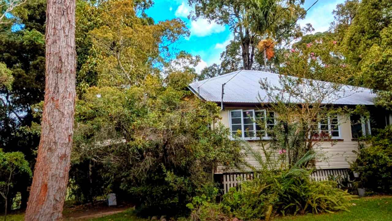 Room in a share house